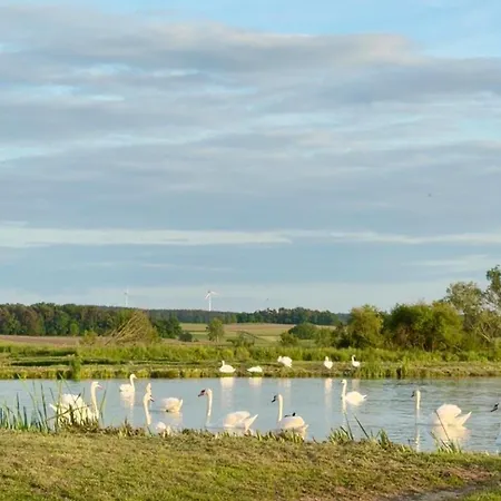 85 Qm Mit Kamin Und Riesigem Garten Uehlfeld